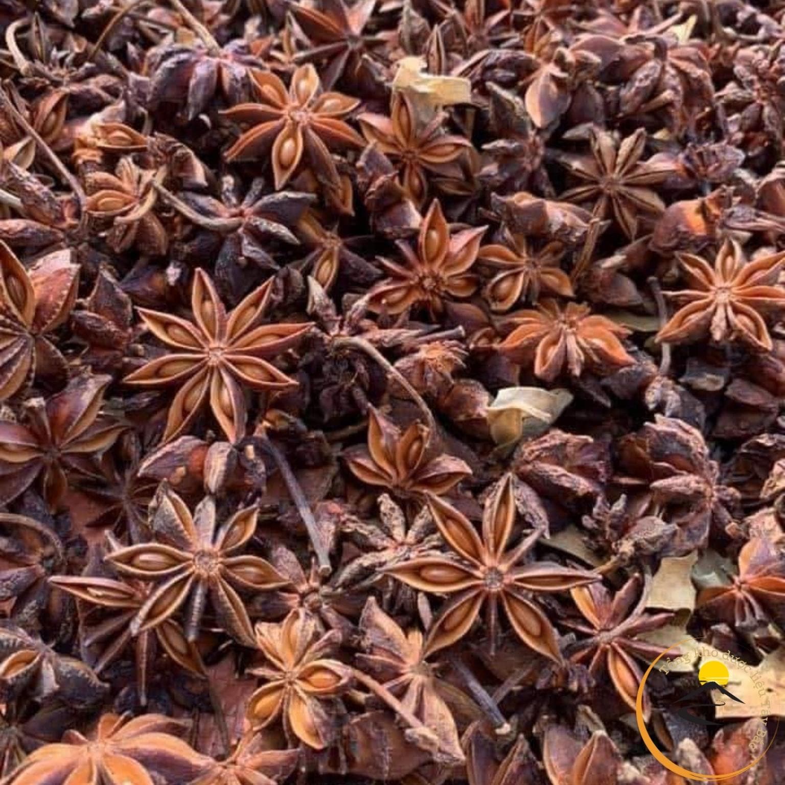 Hoa Hồi (Đại Hồi) Khô Lạng Sơn Loại 1, 1kg