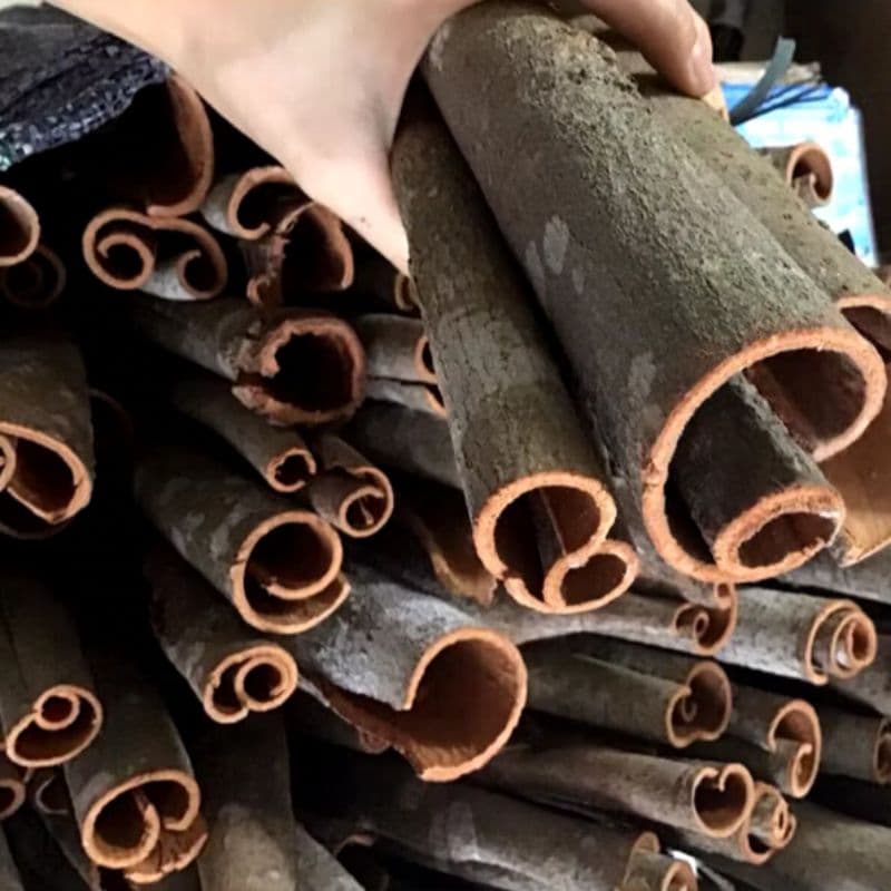 Quế khô hàng loại 1 xuất xứ Yên Bái