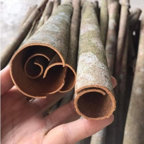 Vỏ Quế Khô 500gr, quế thanh Yên Bái