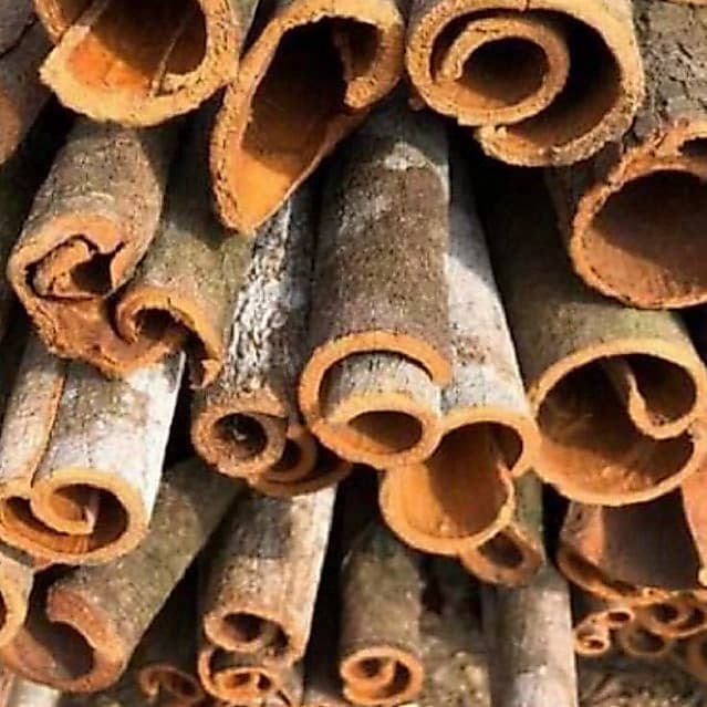 Vỏ quế khô Yên Bái đóng gói 500g