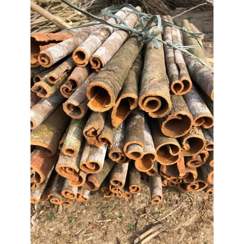 Vỏ Quế Ống Yên Bái, 1kg