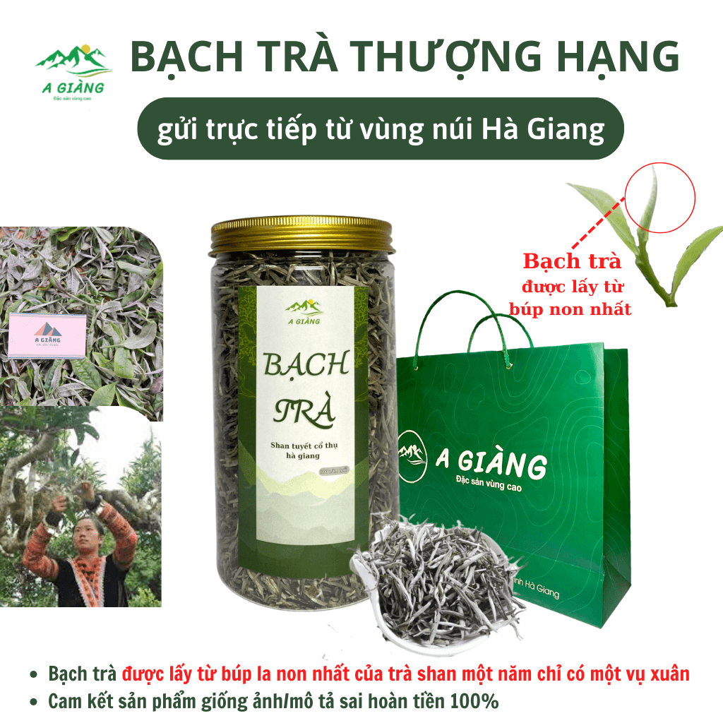Bạch Trà Shan Tuyết Cổ Thụ Thượng Hạng, Ít Caffeine