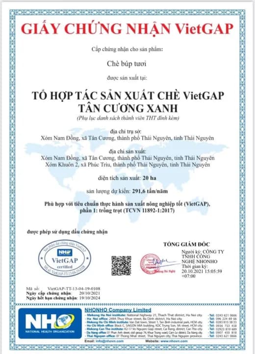 Trà Đinh Ướp Sen Tây Hồ, 100g/200g — фото 4