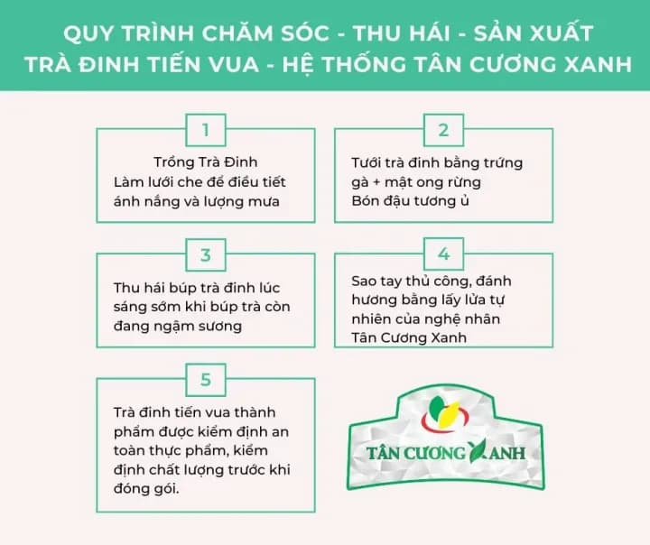 Trà Đinh Ướp Sen Tây Hồ, 100g/200g — фото 5